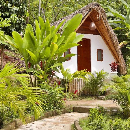 Eco Hotel Amanecer Tayrona エル・ザイノ エクステリア 写真
