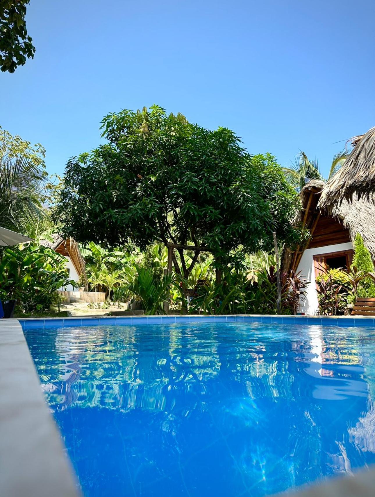 Eco Hotel Amanecer Tayrona エル・ザイノ エクステリア 写真
