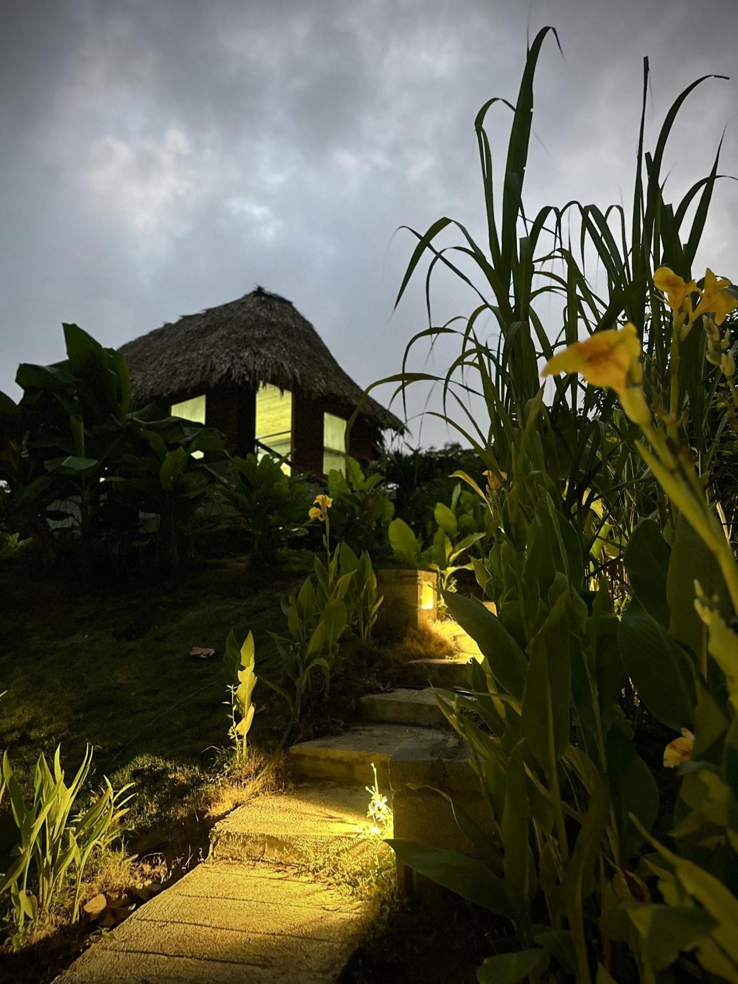 Eco Hotel Amanecer Tayrona エル・ザイノ エクステリア 写真