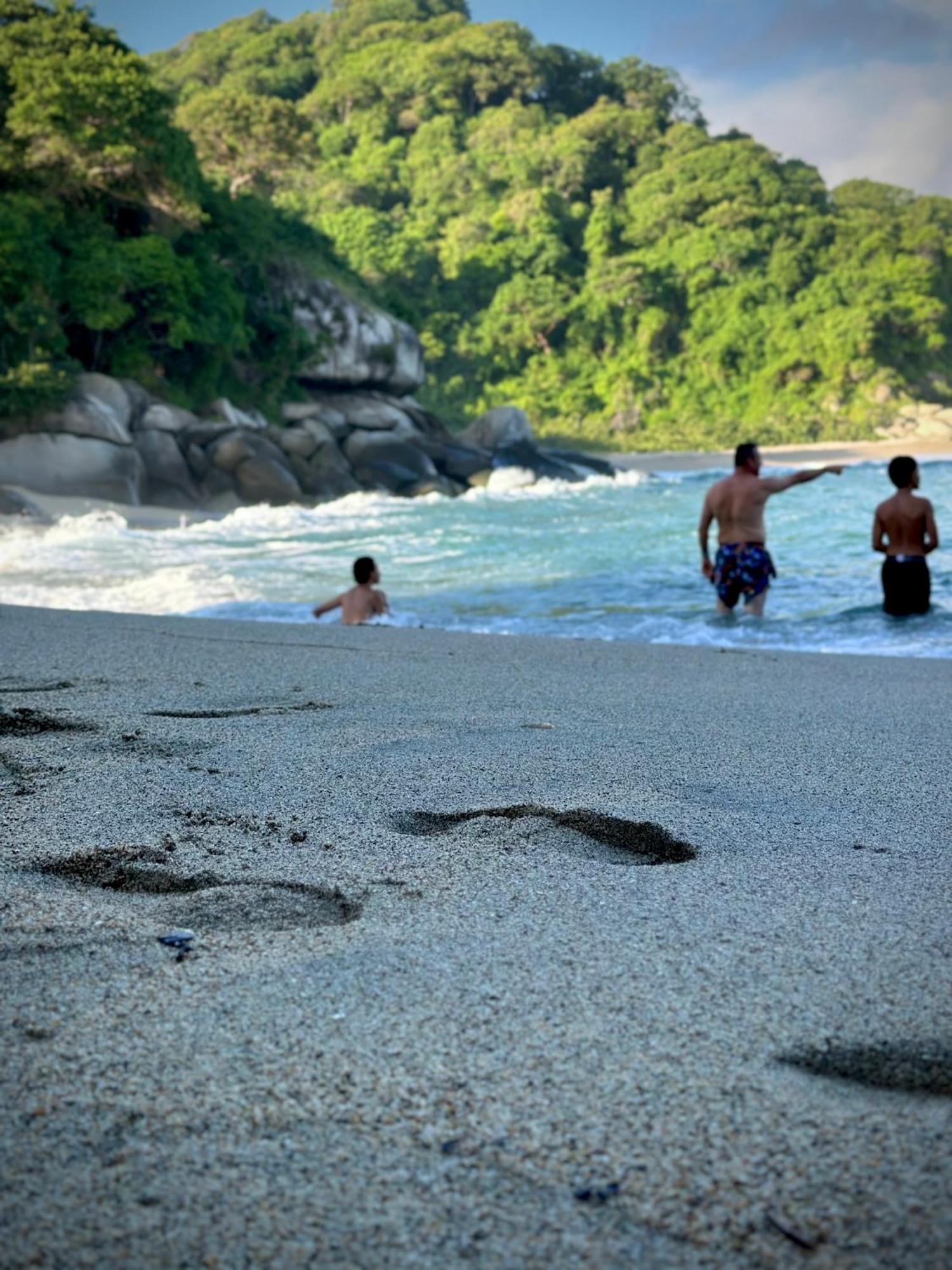 Eco Hotel Amanecer Tayrona エル・ザイノ エクステリア 写真