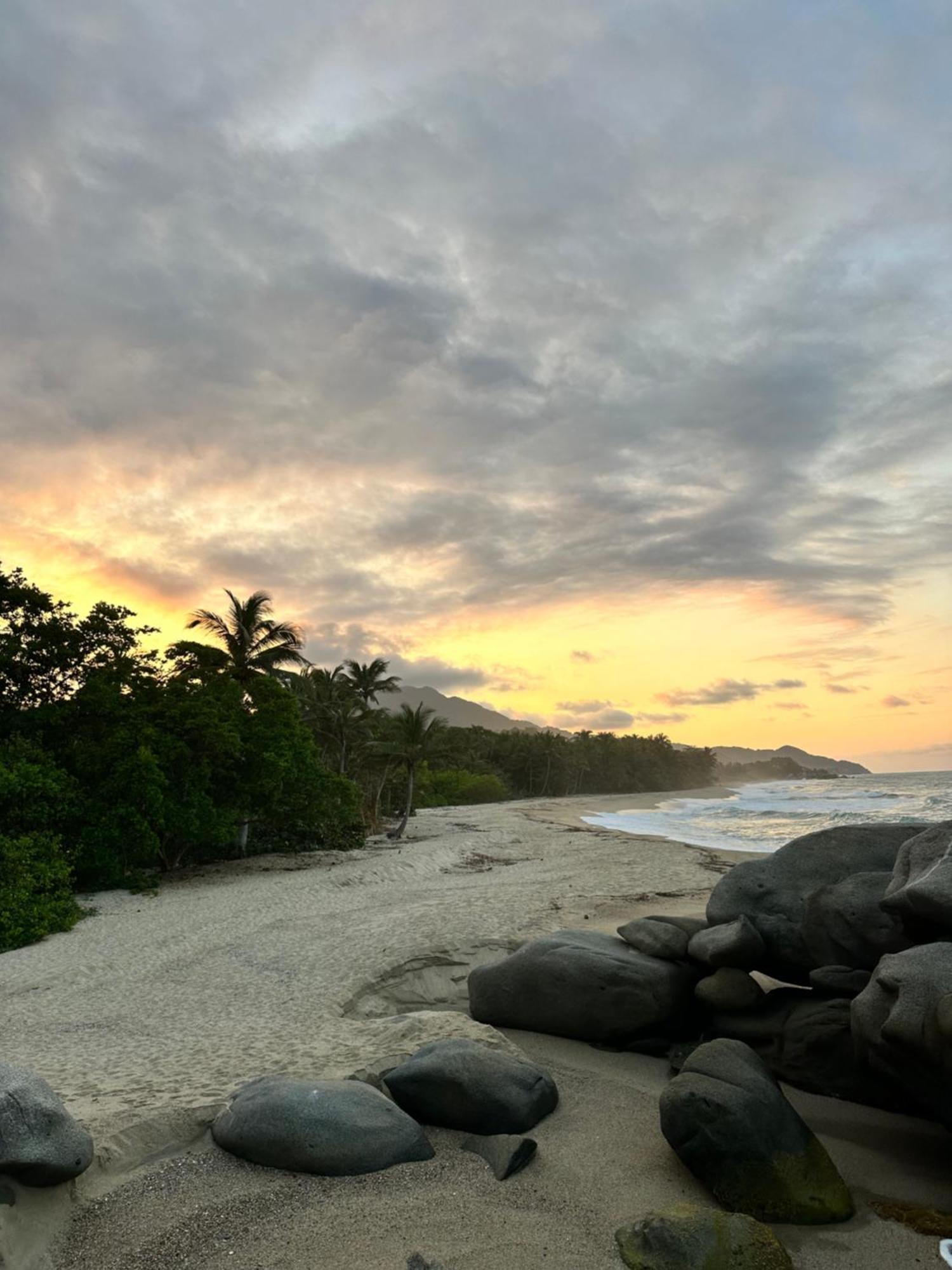 Eco Hotel Amanecer Tayrona エル・ザイノ エクステリア 写真