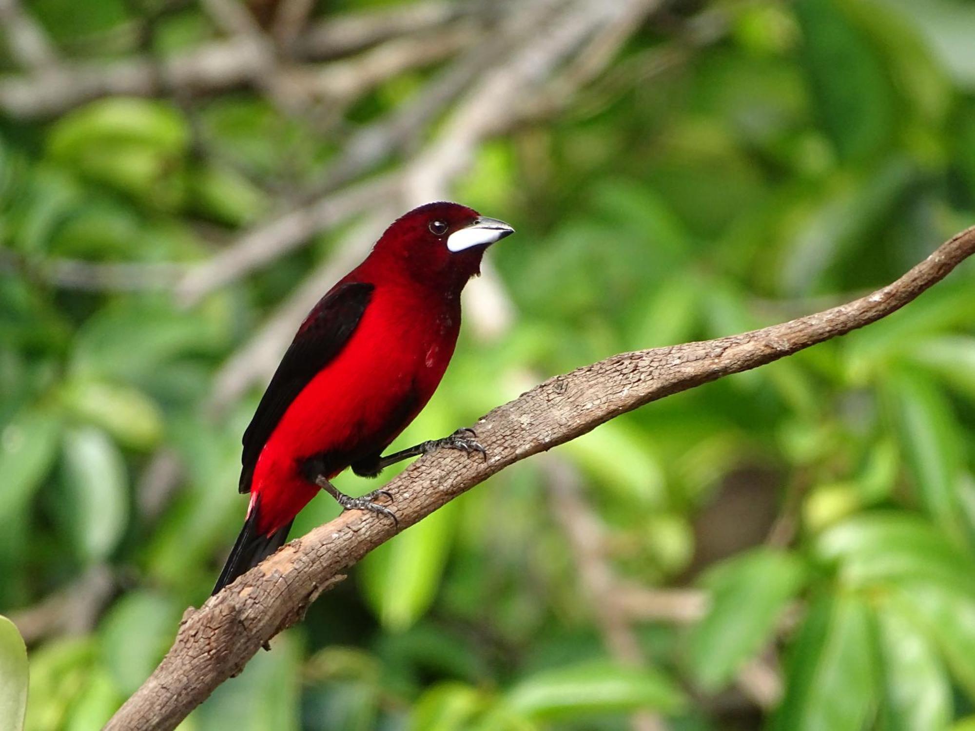 Eco Hotel Amanecer Tayrona エル・ザイノ エクステリア 写真