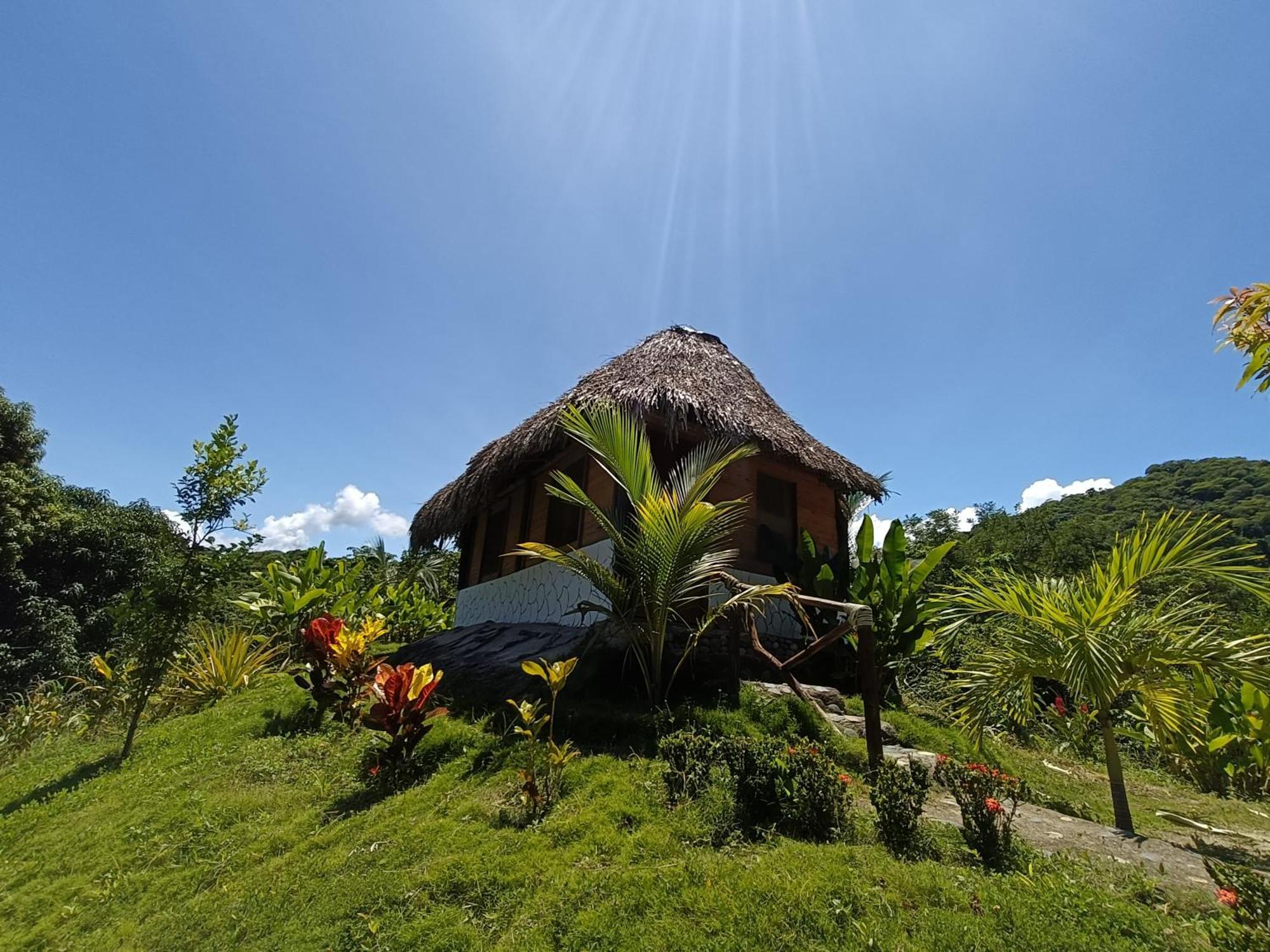 Eco Hotel Amanecer Tayrona エル・ザイノ エクステリア 写真