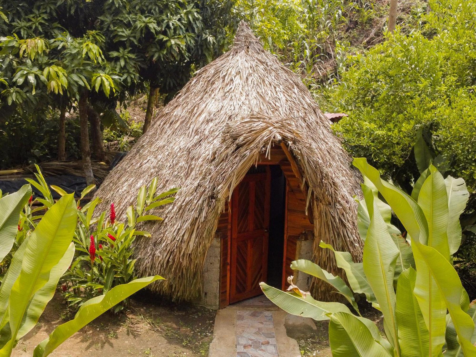 Eco Hotel Amanecer Tayrona エル・ザイノ エクステリア 写真