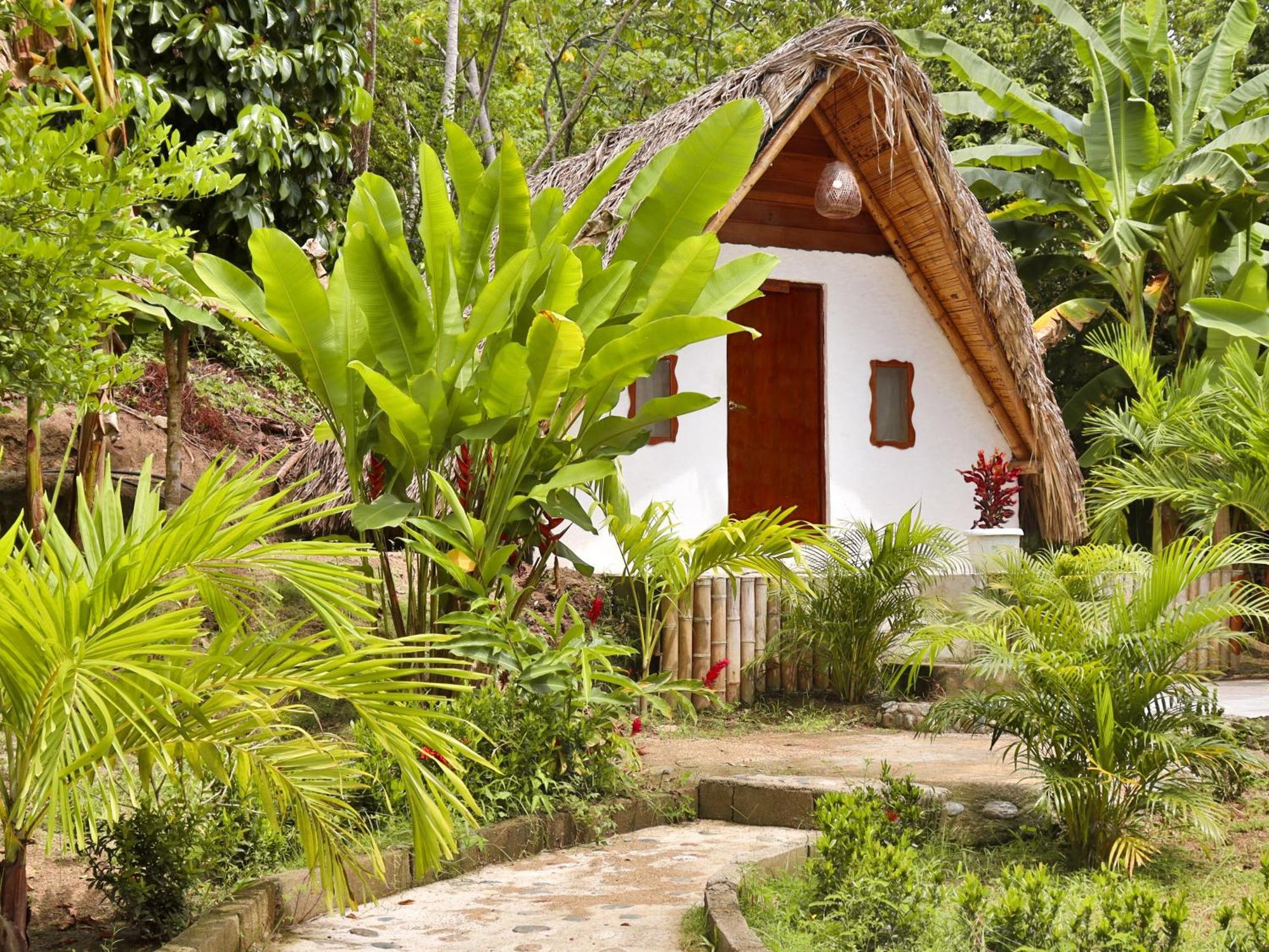 Eco Hotel Amanecer Tayrona エル・ザイノ エクステリア 写真